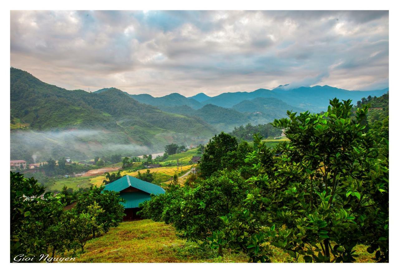 Orange Homestay *